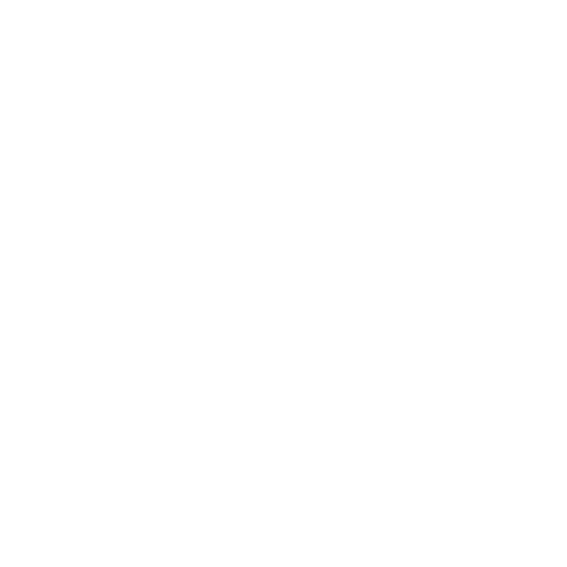The Stunt Network